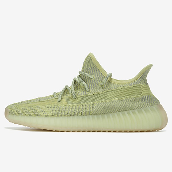 Adidas Yeezy Boost 350 V2 Anti-Ryanon Reflective FV3250 [G5 Edition]