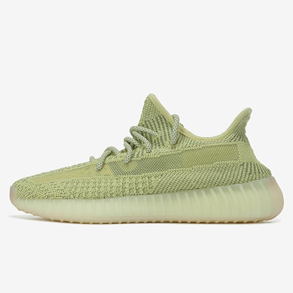 Adidas Yeezy Boost 350 V2 Anti-Rear Reflective FV3255 [G5 Edition]