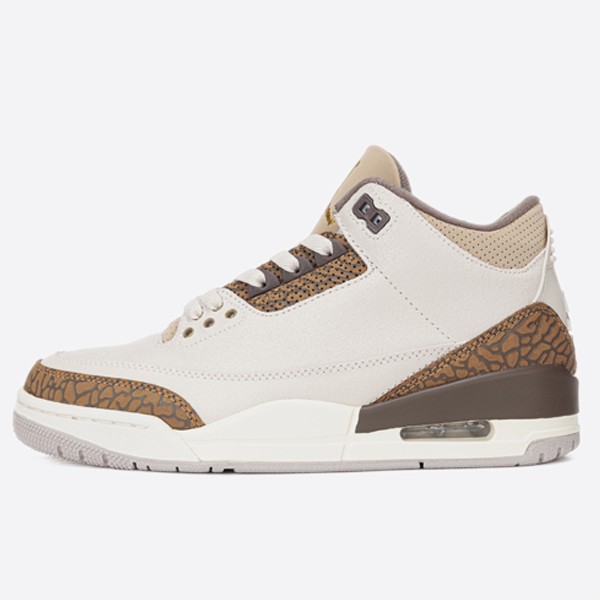 Nike Air Jordan 3 Retro 